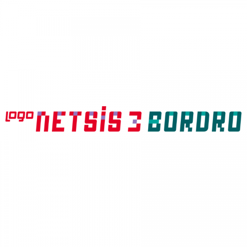 Logo Netsis 3 Bordro